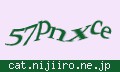 確認キーワード