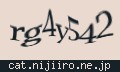 確認キーワード